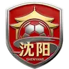 沈阳队